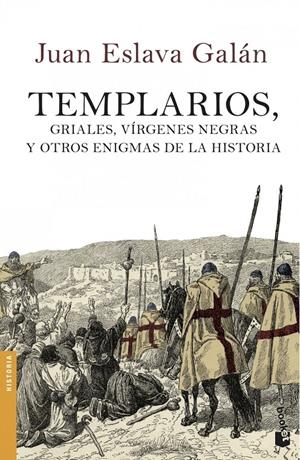 TEMPLARIOS, GRIALES, VÍRGENES NEGRAS Y OTROS ENIGMAS DE LA HISTORIA | 9788408114505 | ESLAVA GALÁN, JUAN | Galatea Llibres | Librería online de Reus, Tarragona | Comprar libros en catalán y castellano online