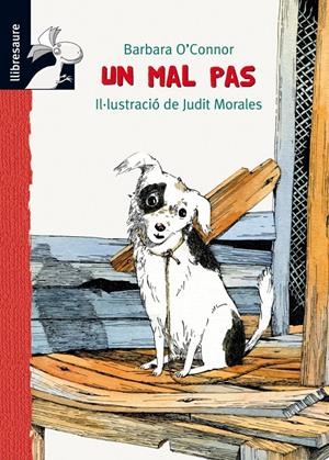 MAL PAS, UN | 9788479428228 | O'CONNOR, BARBARA | Galatea Llibres | Llibreria online de Reus, Tarragona | Comprar llibres en català i castellà online