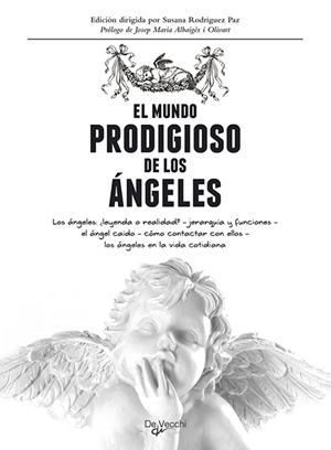 MUNDO PRODIGIOSO DE LOS ANGELES, EL | 9788431550462 | VARIOS AUTORES | Galatea Llibres | Llibreria online de Reus, Tarragona | Comprar llibres en català i castellà online