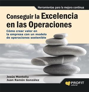 CONSEGUIR LA EXCELENCIA EN LAS OPERACIONES | 9788415735694 | GÓNZALEZ CASELLAS, JUAN RAMON/MONTOLIU FAYAS, JESÚS | Galatea Llibres | Llibreria online de Reus, Tarragona | Comprar llibres en català i castellà online