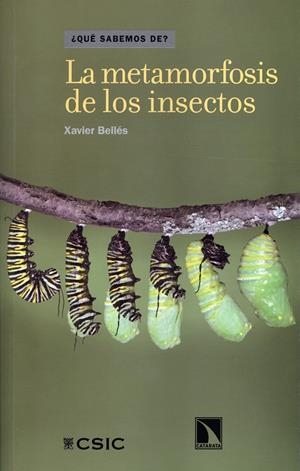 LA METAMORFOSIS DE LOS INSECTOS. ¿COMO SE TRANSFORMA UNA ORUGA? | 9788400090883 | BELLES, XAVIER | Galatea Llibres | Llibreria online de Reus, Tarragona | Comprar llibres en català i castellà online