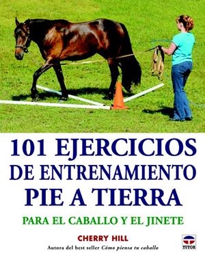 101 EJERCICIOS DE ENTRENAMIENTO PIE A TIERRA | 9788479029432 | HILL, CHERRY | Galatea Llibres | Llibreria online de Reus, Tarragona | Comprar llibres en català i castellà online