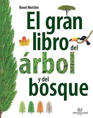 EL GRAN LIBRO DEL ARBOL Y DEL BOSQUE | 9788426139399 | METTLER, RENE | Galatea Llibres | Librería online de Reus, Tarragona | Comprar libros en catalán y castellano online