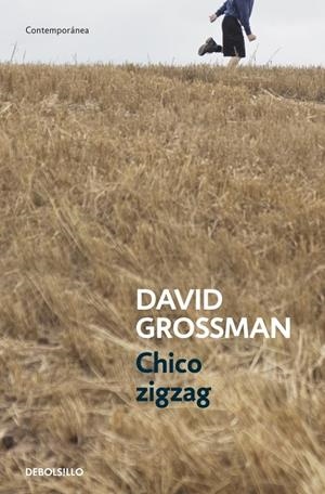 CHICO ZIGZAG | 9788499894805 | GROSSMAN, DAVID | Galatea Llibres | Librería online de Reus, Tarragona | Comprar libros en catalán y castellano online