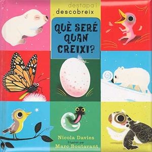 QUÈ SERÉ QUAN CREIXI? | 9788426139085 | DAVIES, NICOLA | Galatea Llibres | Llibreria online de Reus, Tarragona | Comprar llibres en català i castellà online