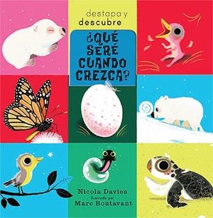 QUE SERE CUANDO CREZCA? | 9788426139078 | DAVIES, NICOLAS | Galatea Llibres | Llibreria online de Reus, Tarragona | Comprar llibres en català i castellà online