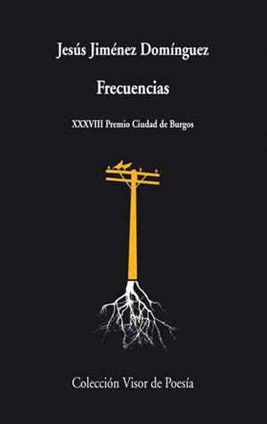 FRECUENCIAS | 9788498958133 | JIMÉNEZ DOMÍNGUEZ, JESÚS | Galatea Llibres | Llibreria online de Reus, Tarragona | Comprar llibres en català i castellà online