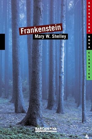 FRANKENSTEIN | 9788448930387 | SHELLEY, MARY | Galatea Llibres | Llibreria online de Reus, Tarragona | Comprar llibres en català i castellà online