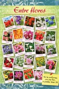 ENTRE FLORES | 9788493928193 | DORADO GARCÍA, MARÍA BELÉN | Galatea Llibres | Librería online de Reus, Tarragona | Comprar libros en catalán y castellano online