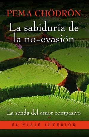 LA SABIDURÍA DE LA NO-EVASIÓN | 9788497546157 | PEMA CHÖDRÖN | Galatea Llibres | Librería online de Reus, Tarragona | Comprar libros en catalán y castellano online
