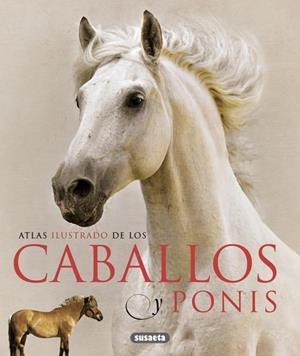 CABALLOS Y PONIS ATLAS ILUSTRADO | 9788467713053 | LABAN, BRIAN | Galatea Llibres | Librería online de Reus, Tarragona | Comprar libros en catalán y castellano online