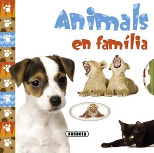 ANIMALS EN FAMILIA | 9788467717228 | APSLEY, BRENDA | Galatea Llibres | Librería online de Reus, Tarragona | Comprar libros en catalán y castellano online