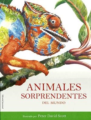 ANIMALES SORPRENDENTES DEL MUNDO | 9788426138705 | DAVID SCOTT, PETER | Galatea Llibres | Librería online de Reus, Tarragona | Comprar libros en catalán y castellano online