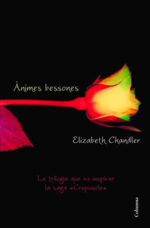 ÀNIMES BESSONES | 9788466415101 | CHANDLER, ELISABETH | Galatea Llibres | Librería online de Reus, Tarragona | Comprar libros en catalán y castellano online