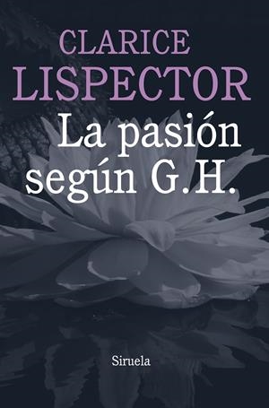 LA PASIÓN SEGÚN G. H. | 9788415803584 | LISPECTOR, CLARICE | Galatea Llibres | Llibreria online de Reus, Tarragona | Comprar llibres en català i castellà online
