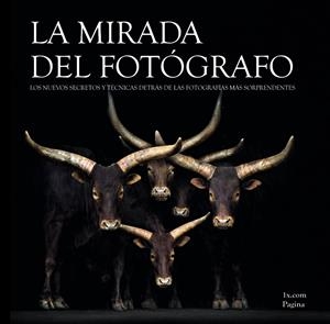 LA MIRADA DEL FOTÓGRAFO | 9788441534254 | Galatea Llibres | Librería online de Reus, Tarragona | Comprar libros en catalán y castellano online