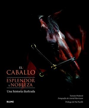 EL CABALLO. ESPLENDOR Y NOBLEZA | 9788415317074 | PICKERAL, TAMSIN / HARRISSON, ASTRID | Galatea Llibres | Llibreria online de Reus, Tarragona | Comprar llibres en català i castellà online