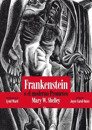 FRANKENSTEIN O EL MODERNO PROMETEO ILUSTRADO | 9788415601401 | SHELLEY, MARY | Galatea Llibres | Llibreria online de Reus, Tarragona | Comprar llibres en català i castellà online