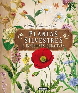 ATLAS ILUSTRADO DE PLANTAS SILVESTRES E INFUSIONES CURATIVAS | 9788467722864 | TOMANOVÁ, ELISKA | Galatea Llibres | Llibreria online de Reus, Tarragona | Comprar llibres en català i castellà online