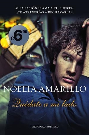QUÉDATE A MI LADO | 9788415410867 | AMARILLO, NOELIA | Galatea Llibres | Librería online de Reus, Tarragona | Comprar libros en catalán y castellano online