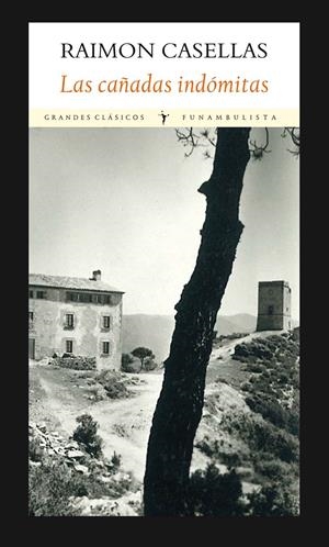 LAS CAÑADAS INDÓMITAS | 9788494147555 | CASELLAS, RAIMON | Galatea Llibres | Librería online de Reus, Tarragona | Comprar libros en catalán y castellano online