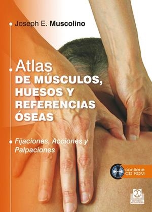 ATLAS DE MÚSCULOS, HUESOS Y REFERENCIAS ÓSEAS  (LIBRO + CD) (COLOR) | 9788499104409 | MUSCOLINO, JOSEPH E. | Galatea Llibres | Librería online de Reus, Tarragona | Comprar libros en catalán y castellano online