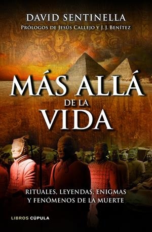 MÁS ALLÁ DE LA VIDA | 9788448069049 | SENTINELLA, DAVID | Galatea Llibres | Llibreria online de Reus, Tarragona | Comprar llibres en català i castellà online