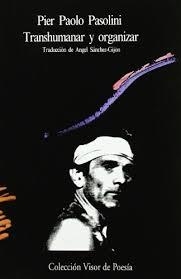 TRANSHUMANAR Y ORGANIZAR | 9788475221397 | PASOLINI, PIER PAOLO | Galatea Llibres | Librería online de Reus, Tarragona | Comprar libros en catalán y castellano online
