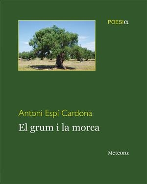 EL GRUM I LA MORCA | 9788492874910 | ESPÍ CARDONA, ANTONI | Galatea Llibres | Librería online de Reus, Tarragona | Comprar libros en catalán y castellano online