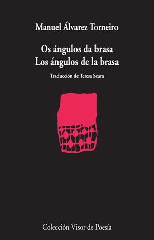 LOS ÁNGULOS DE LA BRASA | 9788498958560 | ALVAREZ TORNEIRO, MANUEL | Galatea Llibres | Librería online de Reus, Tarragona | Comprar libros en catalán y castellano online