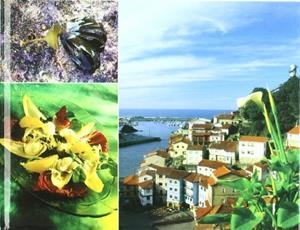 ALGA PALMARIA EN LA GASTRONOMIA. EL ALGA DE CUDILLERO, EL | 9788484591313 | Galatea Llibres | Librería online de Reus, Tarragona | Comprar libros en catalán y castellano online