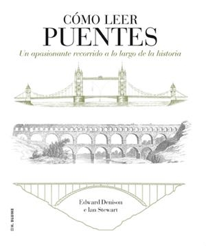 CÓMO LEER PUENTES | 9788496669871 | DENISON, EDWARD/STEWART, IAN | Galatea Llibres | Llibreria online de Reus, Tarragona | Comprar llibres en català i castellà online