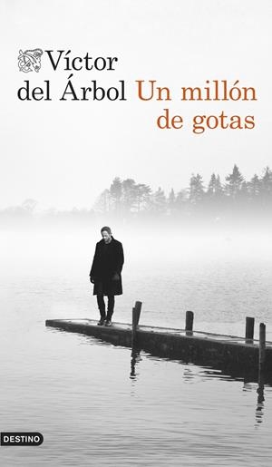 UN MILLÓN DE GOTAS | 9788423348138 | DEL ÁRBOL, VÍCTOR | Galatea Llibres | Llibreria online de Reus, Tarragona | Comprar llibres en català i castellà online