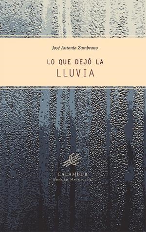 LO QUE DEJÓ LA LLUVIA | 9788483592625 | ZAMBRANO, JOSÉ ANTONIO | Galatea Llibres | Librería online de Reus, Tarragona | Comprar libros en catalán y castellano online