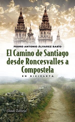 EL CAMINO DE SANTIAGO DESDE RONCESVALLES A COMPOSTELA EN BICICLETA | 9789895110742 | ÁLVAREZ BABÍO, PEDRO ANTONIO | Galatea Llibres | Llibreria online de Reus, Tarragona | Comprar llibres en català i castellà online