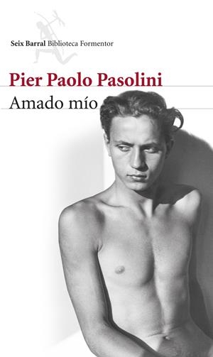 AMADO MÍO | 9788432222870 | PASOLINI, PIER PAOLO | Galatea Llibres | Llibreria online de Reus, Tarragona | Comprar llibres en català i castellà online