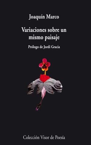 VARIACIONES SOBRE UN MISMO PAISAJE | 9788498958102 | MARCO, JOAQUIN | Galatea Llibres | Llibreria online de Reus, Tarragona | Comprar llibres en català i castellà online