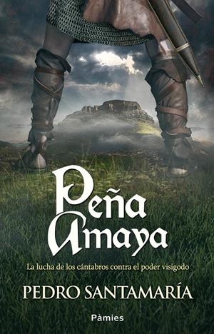 PEÑA AMAYA | 9788415433439 | SANTAMARÍA, PEDRO | Galatea Llibres | Librería online de Reus, Tarragona | Comprar libros en catalán y castellano online