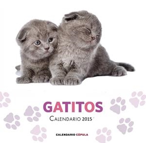 CALENDARIO GATITOS 2015 | 9788448019730 | Galatea Llibres | Librería online de Reus, Tarragona | Comprar libros en catalán y castellano online