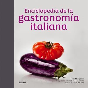 ENCICLOPEDIA DE LA GASTRONOMÍA ITALIANA | 9788416138098 | MANGOLINI, MIA | Galatea Llibres | Llibreria online de Reus, Tarragona | Comprar llibres en català i castellà online