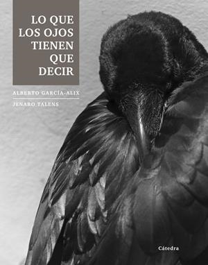 LO QUE LOS OJOS TIENEN QUE DECIR | 9788437633251 | GARCÍA-ALIX, ALBERTO/TALENS, JENARO | Galatea Llibres | Librería online de Reus, Tarragona | Comprar libros en catalán y castellano online