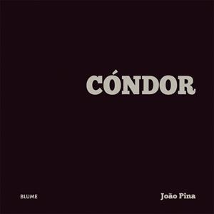 CÓNDOR | 9788498017700 | PINA, JOÃO | Galatea Llibres | Llibreria online de Reus, Tarragona | Comprar llibres en català i castellà online