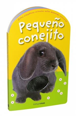 PEQUEÑO CONEJITO | 9788408084907 | Galatea Llibres | Llibreria online de Reus, Tarragona | Comprar llibres en català i castellà online