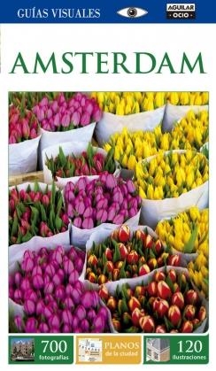 AMSTERDAM GUIA VISUALE 2015 | 9788403514324 | Galatea Llibres | Librería online de Reus, Tarragona | Comprar libros en catalán y castellano online