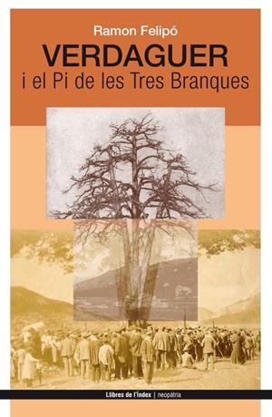 VERDAGUER I EL PI DE LES TRES BRANQUES | 9788494288920 | FELIPÓ ORIOL, RAMON | Galatea Llibres | Llibreria online de Reus, Tarragona | Comprar llibres en català i castellà online