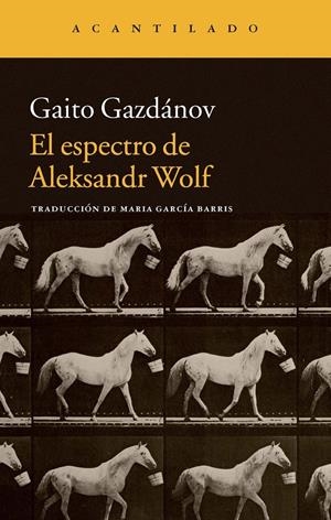 EL ESPECTRO DE ALEKSANDR WOLF | 9788416011414 | GAZDÁNOV, GAITO / GARCÍA BARRIS, MARÍA | Galatea Llibres | Llibreria online de Reus, Tarragona | Comprar llibres en català i castellà online