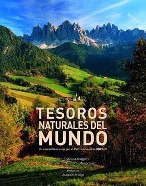 TESOROS NATURALES DEL MUNDO | 9788416177264 | MOLINA HOLGADO, PEDRO / ANA BELÉN BERROCAL MENÁRGUEZ | Galatea Llibres | Llibreria online de Reus, Tarragona | Comprar llibres en català i castellà online