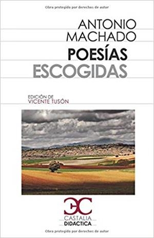 POESIAS ESCOGIDAS MACHADO | 9788497406932 | MACHADO, ANTONIO | Galatea Llibres | Llibreria online de Reus, Tarragona | Comprar llibres en català i castellà online