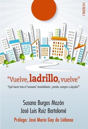VUELVE, LADRILLO, VUELVE | 9788441536845 | BURGOS MAZÓN, SUSANA/RUIZ BARTOLOMÉ, JOSÉ LUIS | Galatea Llibres | Librería online de Reus, Tarragona | Comprar libros en catalán y castellano online