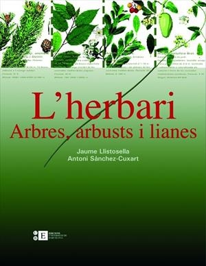 HERBARI, L' ARBRES ARBUSTS I LIANES | 9788483384220 | LLISTOSELLA, JAUME | Galatea Llibres | Librería online de Reus, Tarragona | Comprar libros en catalán y castellano online